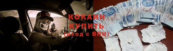 твердый Алексин