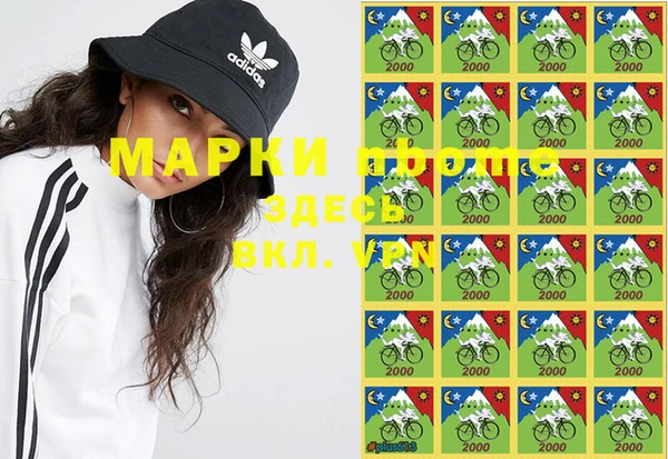 ПСИЛОЦИБИНОВЫЕ ГРИБЫ Алексеевка