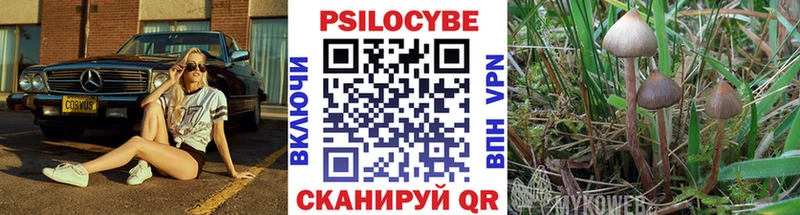 Псилоцибиновые грибы Cubensis  Татарск 