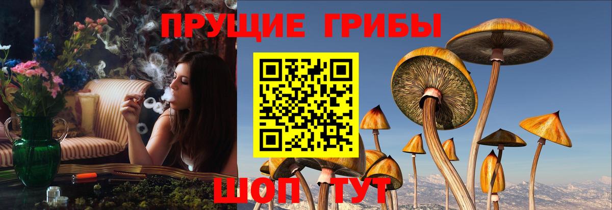 Татарск  Галлюциногенные грибы Magic Shrooms  Вход с VPN 
